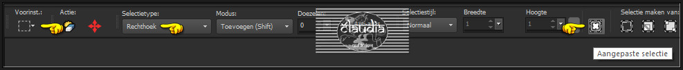 Activeer het Selectiegereedschap (toets S op het toetsenbord) - Aangepaste selectie