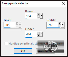 Activeer het Selectiegereedschap (toets S op het toetsenbord) - Aangepaste selectie en voer deze getallen in