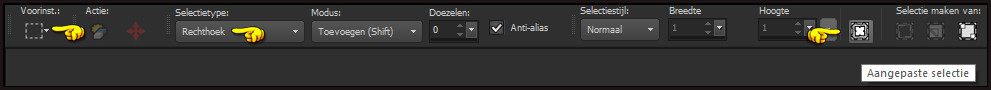 Activeer het Selectiegereedschap (toets S op het toetsenbord) - Aangepaste selectie