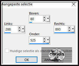 Activeer het Selectiegereedschap (toets S op het toetsenbord) - Aangepaste selectie en voer deze getallen in