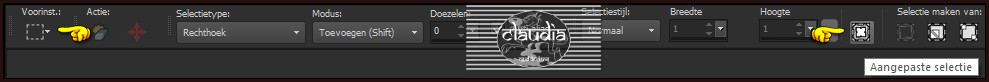 Activeer het Selectiegereedschap (toets S op het toetsenbord) - Aangepaste selectie