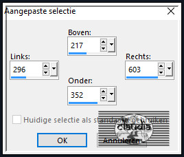 Activeer het Selectiegereedschap (toets S op het toetsenbord) - Aangepaste selectie en voer deze getallen in