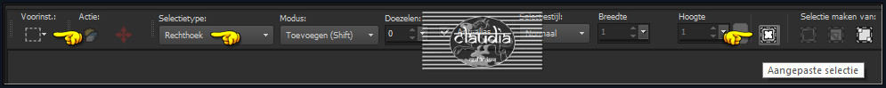 Activeer het Selectiegereedschap (toets S op het toetsenbord) - Aangepaste selectie