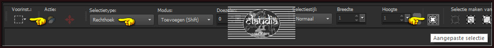 Activeer het Selectiegereedschap (toets S op het toetsenbord) - Aangepaste selectie