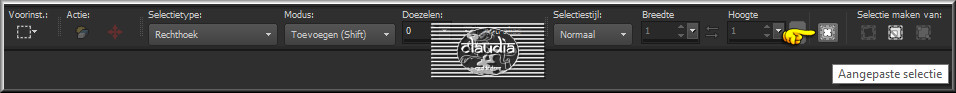 Activeer het Selectiegereedschap (toest S op het toetsenbord) - Aangepaste selectie 