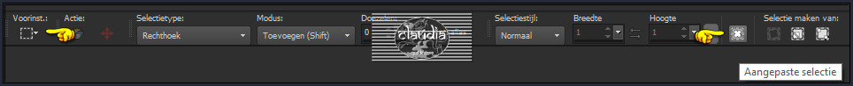 Activeer het Selectiegereedschap (toets S op het toetsenbord) - Aangepaste selectie