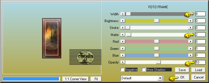 Effecten - Insteekfilters - AAA Frames - Foto Frame