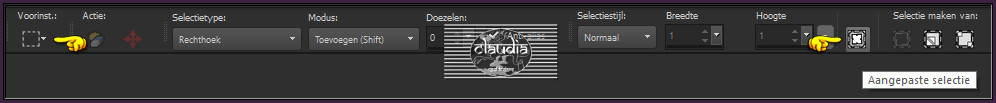 Activeer het Selectiegereedschap (toets S op het toetsenbord) - Aangepaste selectie