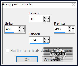 Activeer het Selectiegereedschap (toets S op het toetsenbord) - Aangepaste selectie en voer deze getallen in