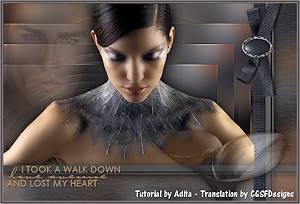 Les : Lost my Heart van Adita