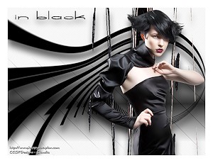 Les : In Black van Alicia