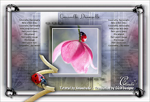 Les : Coccinelle, Demoiselle van Chantal