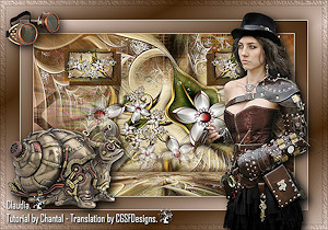 Les : Steampunk van Chantal