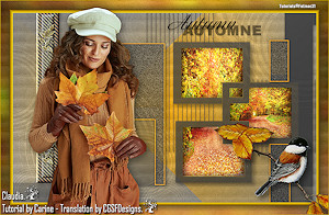 Les : Journée d'Automne van Carine