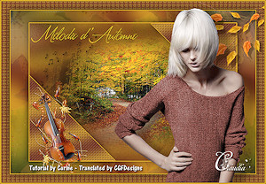 Les : Mlodie d'Automne van Carine