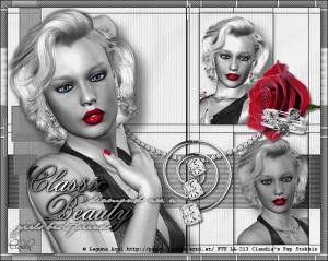 Les : Classic Beauty van Brigitte