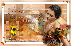 Les : Hello Autumn van Brigitte