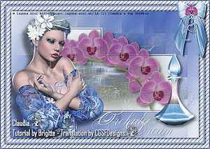 Les : Orchidee Dream van Brigitte