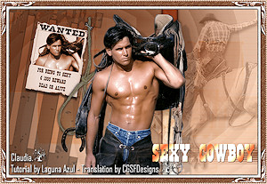 Les : Sexy Cowboy van Brigitte