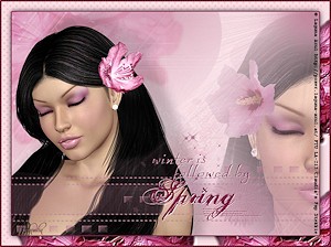 Les : Springtime van Brigitte