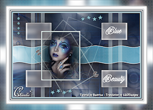 Les : Blue Beauty van Beatrice