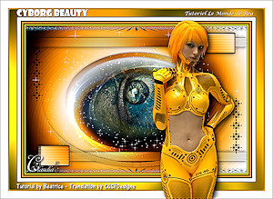 Les : Cyborg Beauty van Beatrice