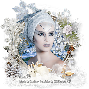 Les : Hiver Blanc van Claudine