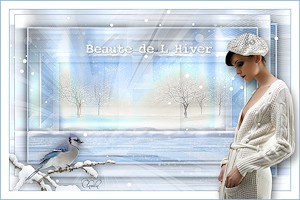 Les : Beauté de l'hiver van Maxou