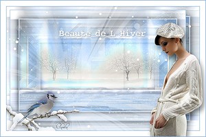 Les : Beaut de l'hiver van Maxou