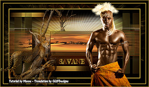 Les : savane van Maxou