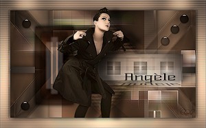 Les : Angle van Linette