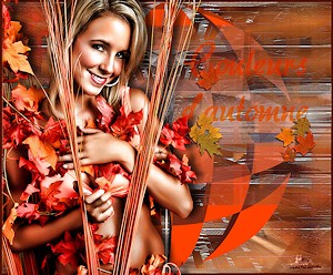 Les : Couleurs-Automne van Nikita