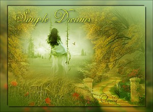 Les : Simple Dreams van Sille