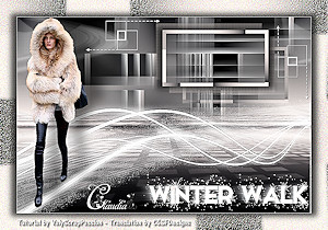 Les : Winter Walk van Valerie