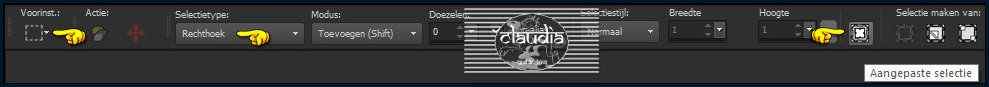 Activeer het Selectiegereedschap (toets S op het toetsenbord) - Aangepaste selectie