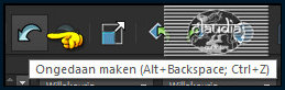 Klik nu 2 x op het "Ongedaan maken" pijltje
