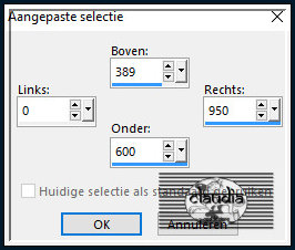 Activeer het Selectiegereedschap (toets S op het toetsenbord) - Aangepaste selectie en voer deze getallen in