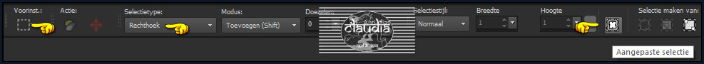 Activeer het Selectiegereedschap (toets S op het toetsenbord) - Aangepaste selectie