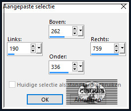 Activeer het Selectiegereedschap (toets S op het toetsenbord) - Aangepaste selectie en voer deze getallen in