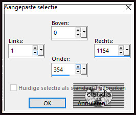 Activeer het Selectiegereedschap (toets S op het toetsenbord) - Aangepaste selectie en voer deze getallen in