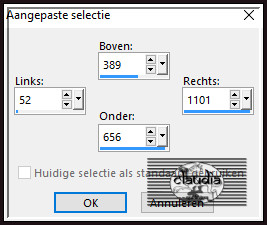 Activeer het Selectiegereedschap (toets S op het toetsenbord) - Aangepaste selectie en voer deze getallen in