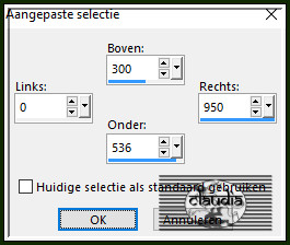 Activeer het Selectiegereedschap (toets S op het toetsenbord) - Aangepaste selectie en voer deze getallen in :