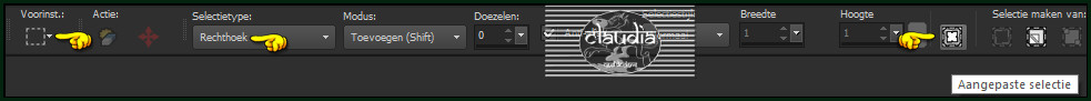 Activeer het Selectiegereedschap (toets S op het toetsenbord) - Aangepaste selectie :