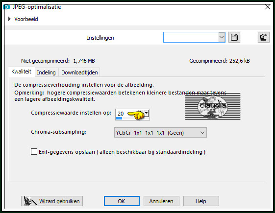 Sla je werkje op als JPEG-formaat met een compressiewaarde van 20 :