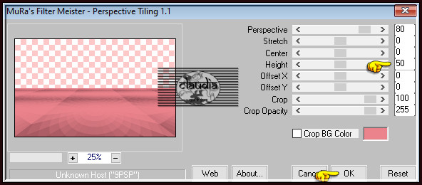 Effecten - Insteekfilters - MuRa's Meister - Perspective Tiling