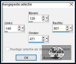 Activeer het Selectiegereedschap (toets S op het toetsenbord) - Aangepaste selectie en voer deze getallen in