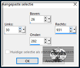 Activeer het Selectiegereedschap (toets S op het toetsenbord) - Aangepaste selectie en voer deze getallen in