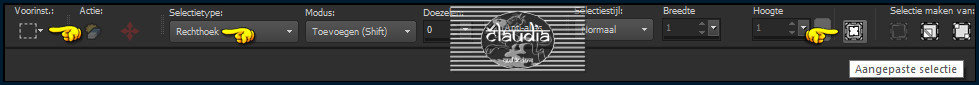 Activeer het Selectiegereedschap (toets S op het toetsenbord) - Aangepaste selectie