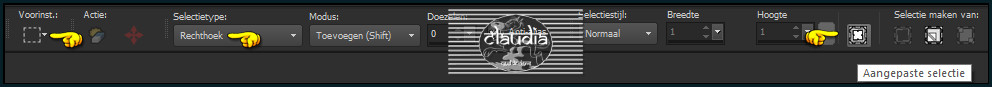 Activeer het Selectiegereedschap (toets S op het toetsenbord) - Aangepaste selectie
