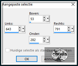 Activeer het Selectiegereedschap (toets S op het toetsenbord) - Aangepaste selectie en voer deze getallen in